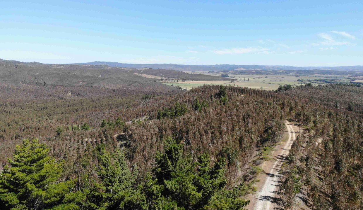 DJI_0812